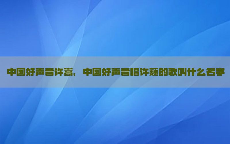 中国好声音许嵩，中国好声音唱许巍的歌叫什么名字