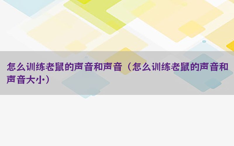 怎么训练老鼠的声音和声音（怎么训练老鼠的声音和声音大小）