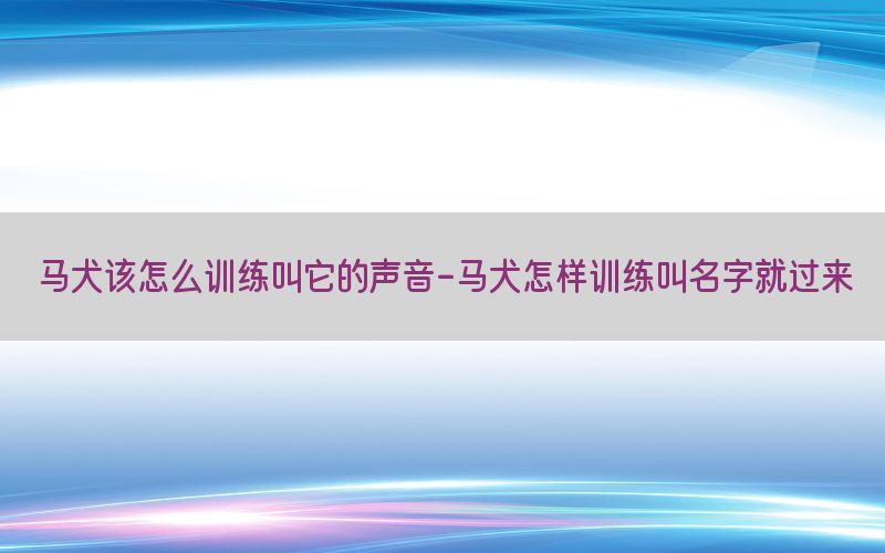 马犬该怎么训练叫它的声音-马犬怎样训练叫名字就过来