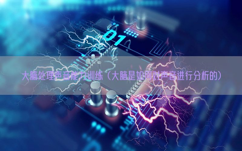 大脑处理声音能力训练（大脑是如何对声音进行分析的）