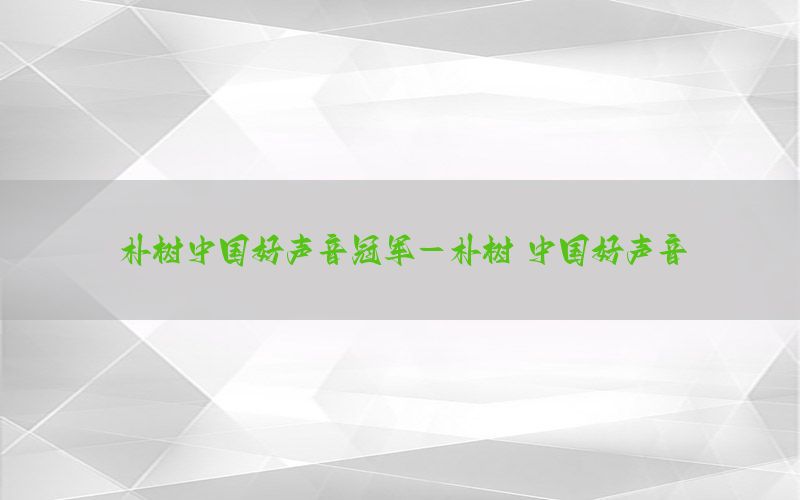 朴树中国好声音冠军-朴树 中国好声音