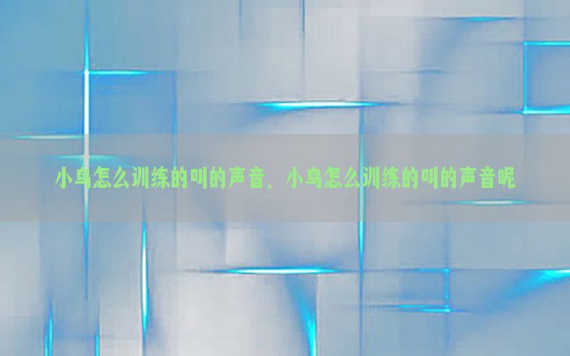 小鸟怎么训练的叫的声音，小鸟怎么训练的叫的声音呢