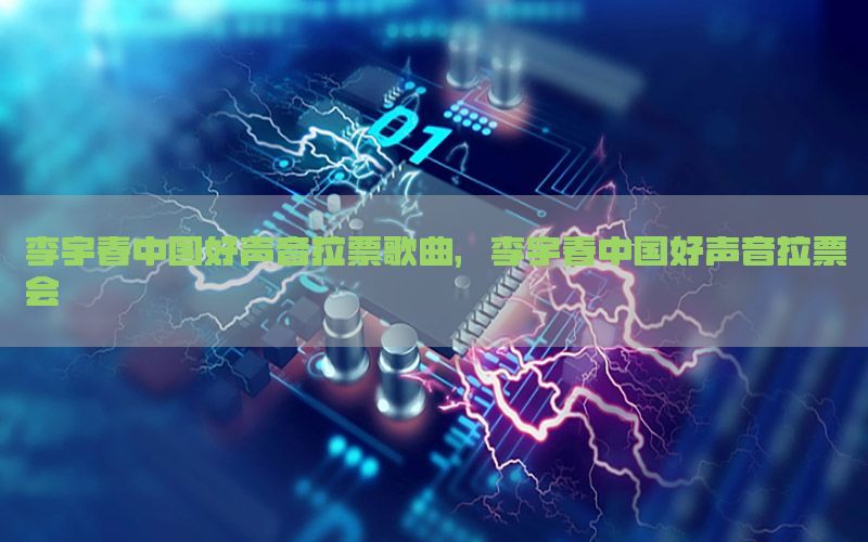 李宇春中国好声音拉票歌曲，李宇春中国好声音拉票会