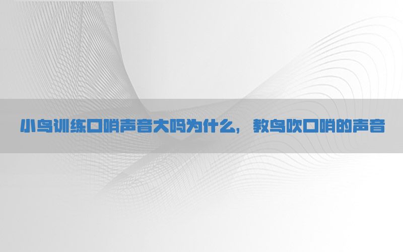 小鸟训练口哨声音大吗为什么，教鸟吹口哨的声音