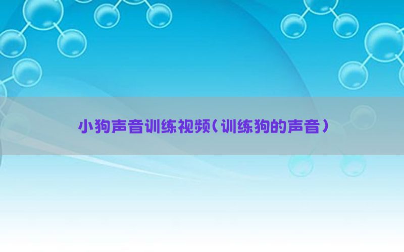 小狗声音训练视频（训练狗的声音）