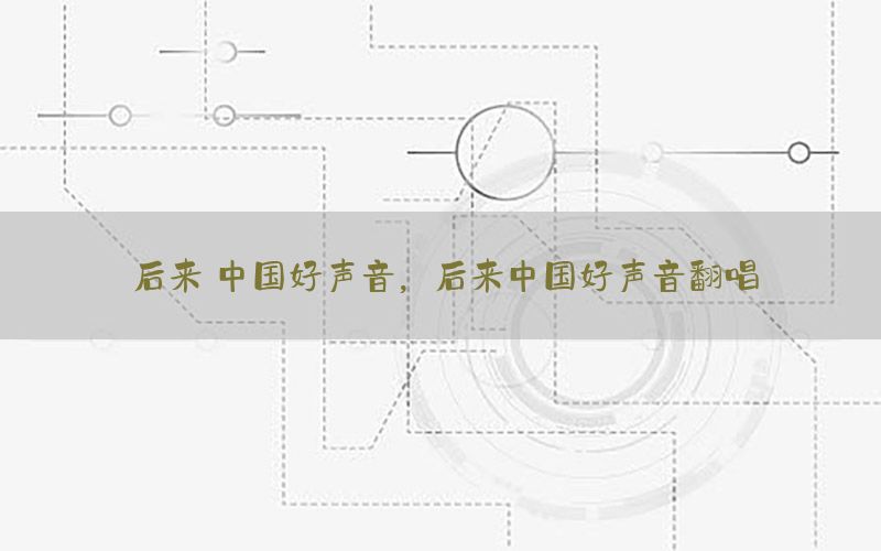 后来 中国好声音，后来中国好声音翻唱