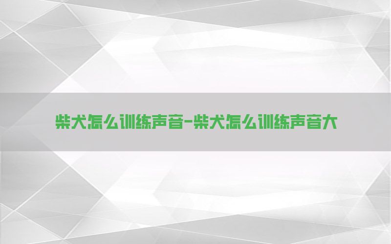 柴犬怎么训练声音-柴犬怎么训练声音大