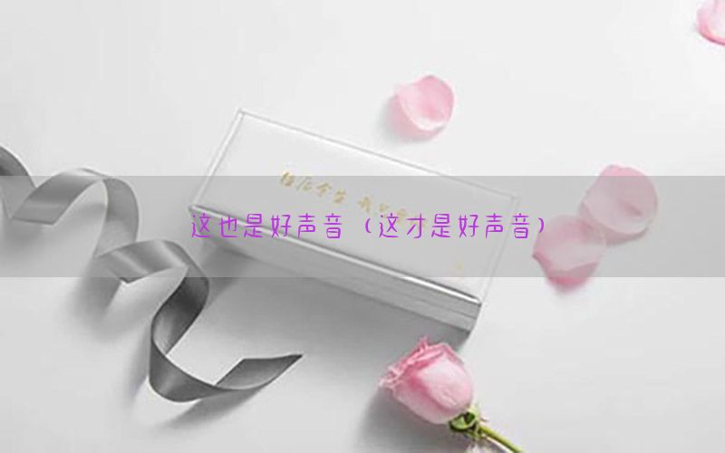 这也是好声音（这才是好声音）