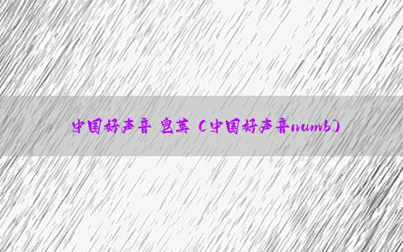 中国好声音 皂荚（中国好声音numb）