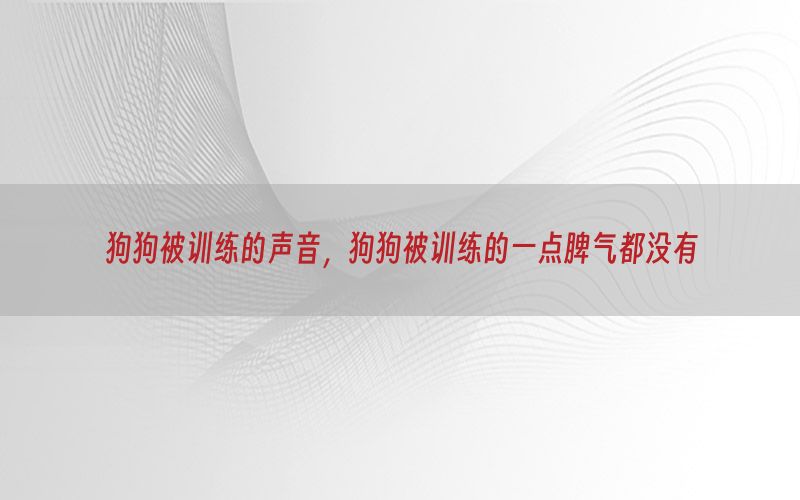 狗狗被训练的声音，狗狗被训练的一点脾气都没有