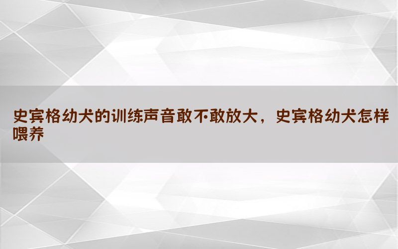 史宾格幼犬的训练声音敢不敢放大，史宾格幼犬怎样喂养