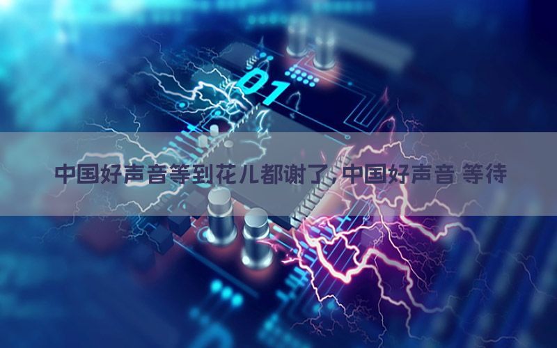 中国好声音等到花儿都谢了，中国好声音 等待