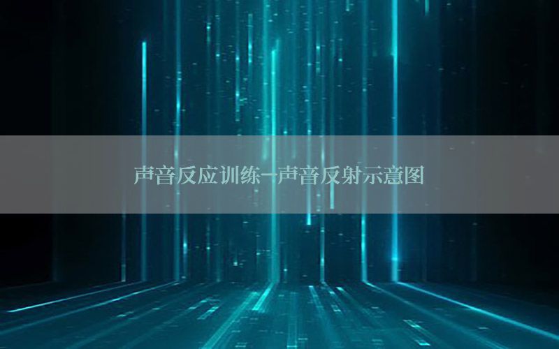 声音反应训练-声音反射示意图