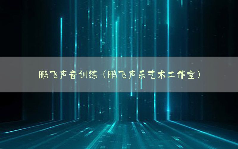 鹏飞声音训练（鹏飞声乐艺术工作室）