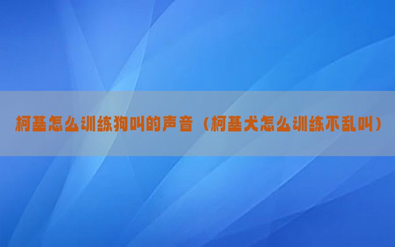 柯基怎么训练狗叫的声音（柯基犬怎么训练不乱叫）