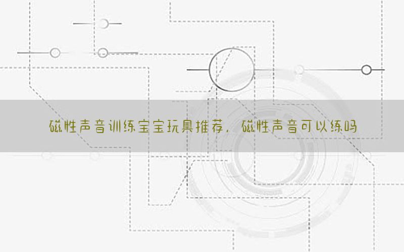 磁性声音训练宝宝玩具推荐，磁性声音可以练吗