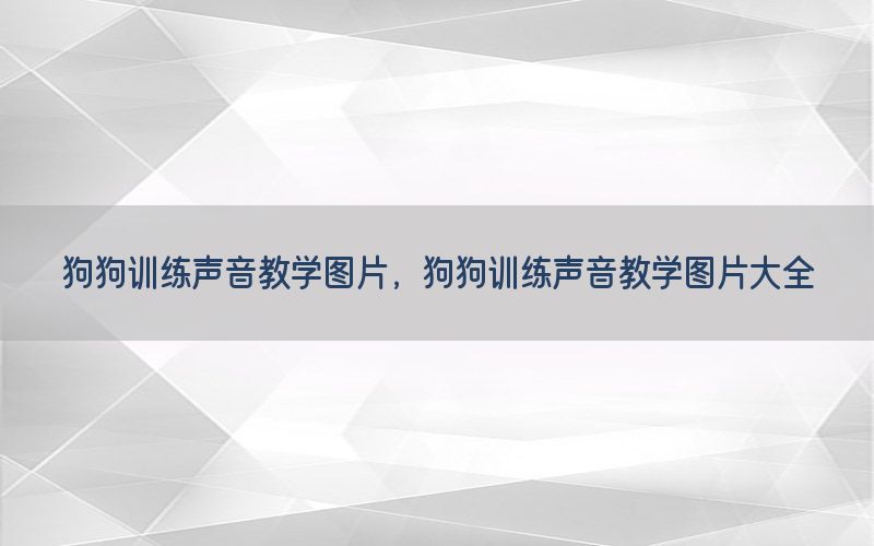 狗狗训练声音教学图片，狗狗训练声音教学图片大全