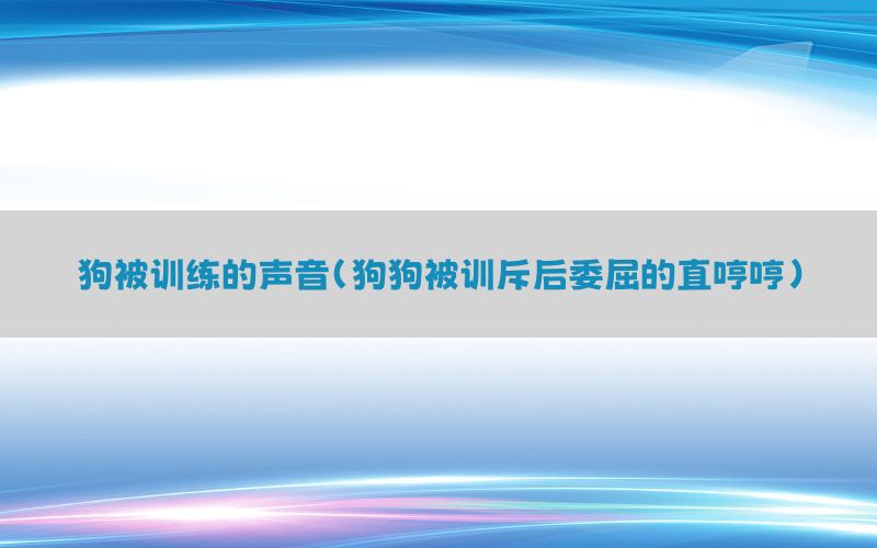 狗被训练的声音（狗狗被训斥后委屈的直哼哼）