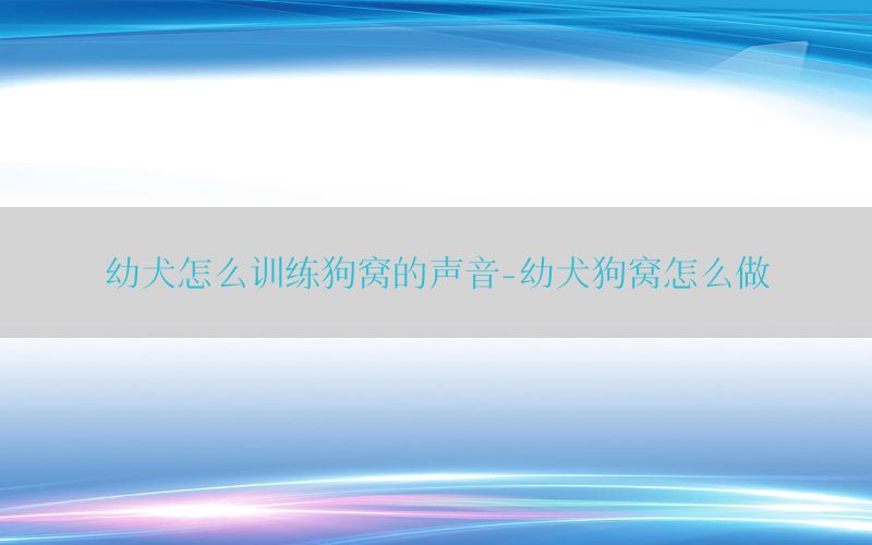 幼犬怎么训练狗窝的声音-幼犬狗窝怎么做