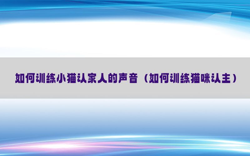 如何训练小猫认家人的声音（如何训练猫咪认主）