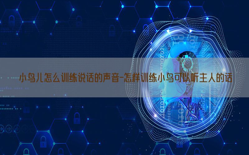 小鸟儿怎么训练说话的声音-怎样训练小鸟可以听主人的话